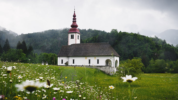 Kirche, Blumenfeld, Natur, Wiese, Wiese, Slowenien, Himmel, Hochland, Berg, Bergstation, Blume, Gras, Landschaft, Tourismus, HD-Hintergrundbild