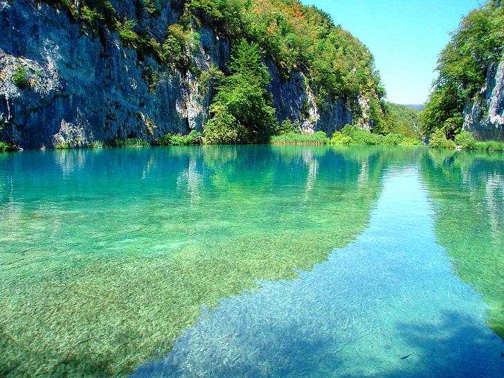 水と緑の木々、プリトヴィチェ湖群、クロアチア、湖、公園、山、 HDデスクトップの壁紙