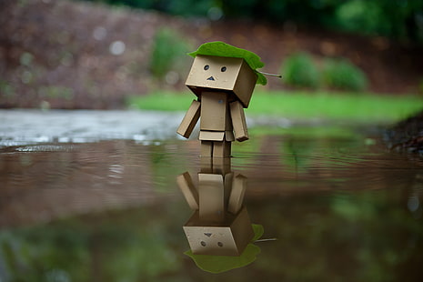caixa homem, água, folha, reflexão, chuva, caixa, Danbo, amazônia, caixas, HD papel de parede HD wallpaper