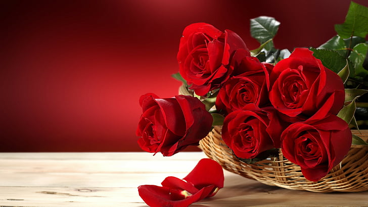 red roses on white brown wicker basket, Roses, 5k, 4k wallpaper, Flower bouquet, red, HD wallpaper
