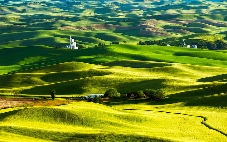 aerial photo of green hills near white house, colfax, colfax, Colfax, Mill, aerial photo, green hills, white house, Palouse, wheat, farm, Steptoe  Butte, San  Luis  Obispo  California, United  States, Canon  5D, III, landscape  photography, Light, Samples, Explore, Creative  Commons, agriculture, Flickr, seascape, low, golden  hour, luminosity, painting, crop, RRS, 16X9, aspect  ratio, Washington  State, field, rural Scene, nature, hill, landscape, land, green Color, landscaped, scenics, meadow, HD wallpaper