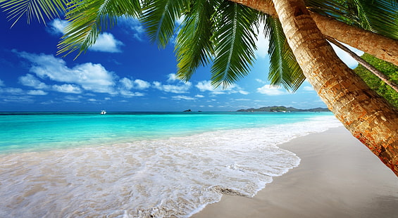 Рай HD обои, зеленые пальмы, путешествия, острова, HD обои HD wallpaper