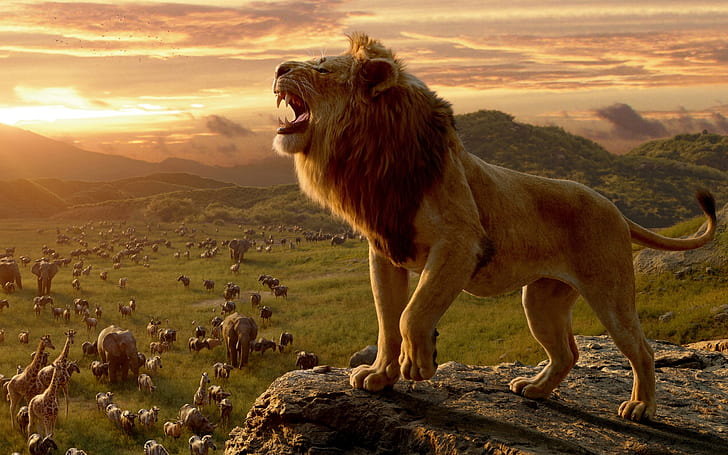 ธรรมชาติ, สัตว์, สิงโต, แมวใหญ่, ช้าง, ยีราฟ, ม้าลาย, พระอาทิตย์ตกดิน, เสียงคำราม, ศิลปะดิจิตอล, The Lion King, วอลล์เปเปอร์ HD