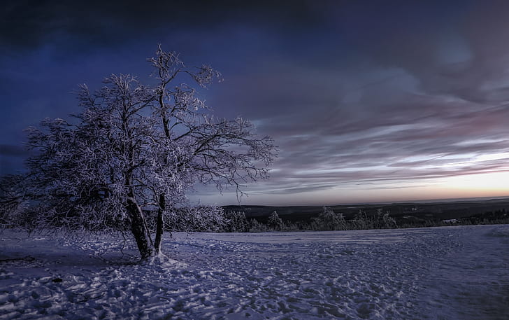 hiver, neige, ciel, arbres, nature, paysage, Fond d'écran HD