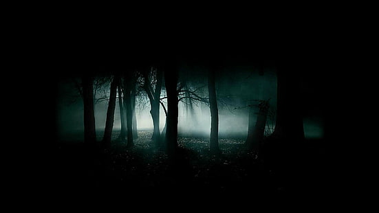 creepy, Dark, Evil, horror, scary, spooky, HD wallpaper HD wallpaper