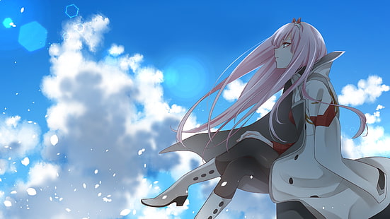 anime, chicas anime, Zero Two (Darling in the FranXX), Darling in the FranXX, Fondo de pantalla HD HD wallpaper