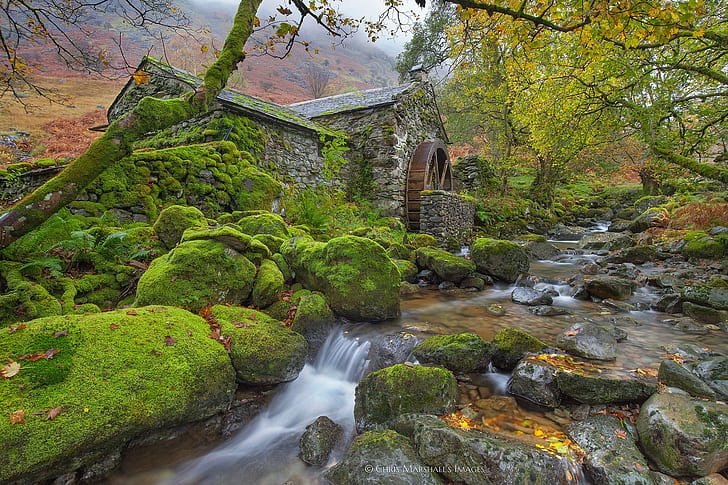 trees, stream, stones, England, moss, river, water mill, Cumbria, Borrowdale Valley, Old Water Mill, HD wallpaper
