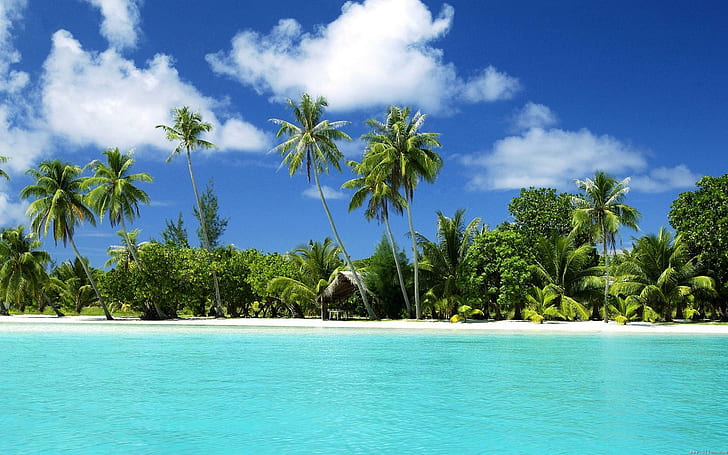 Tropical Beach Paradise, plaża, przyroda, tropikalny, raj, Tapety HD