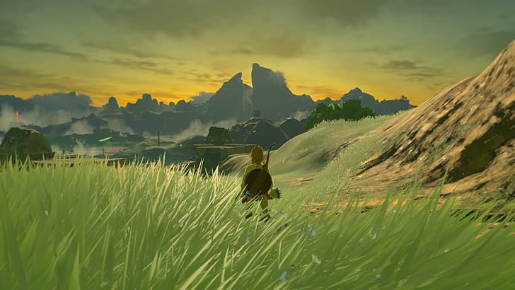 Link, chicos de videojuegos, The Legend of Zelda, paisaje, Fondo de pantalla HD