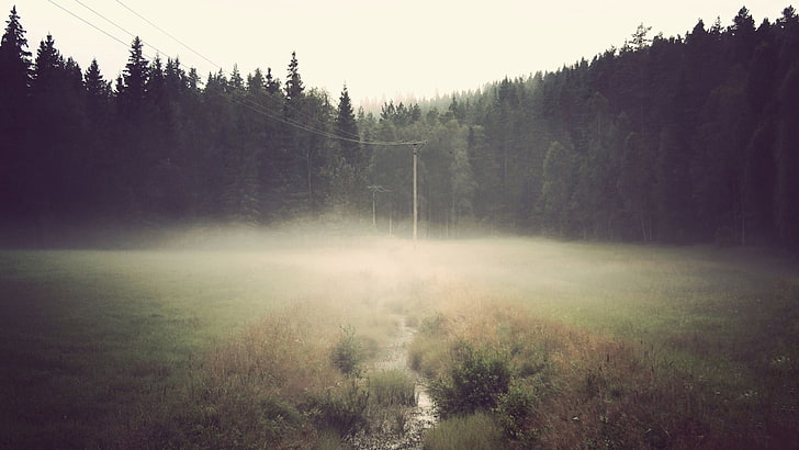 гора, мъгла, жици, поле, HD тапет