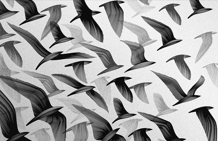 ptaki latające ilustracja, ptaki, Tapety HD