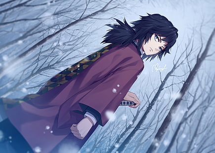 Anime, Demon Slayer: Kimetsu no Yaiba, Giyuu Tomioka, วอลล์เปเปอร์ HD HD wallpaper