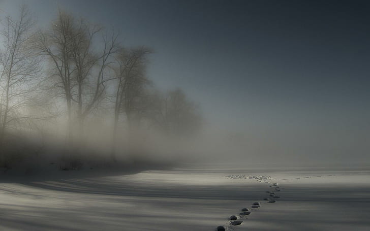 Footprints In A Wintry Fog, gray sand field illustration, trees, footprints, winter, nature and landscapes, HD wallpaper