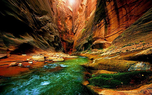 antelope canyon, canyon, gorge, river, moss, greens, HD wallpaper HD wallpaper