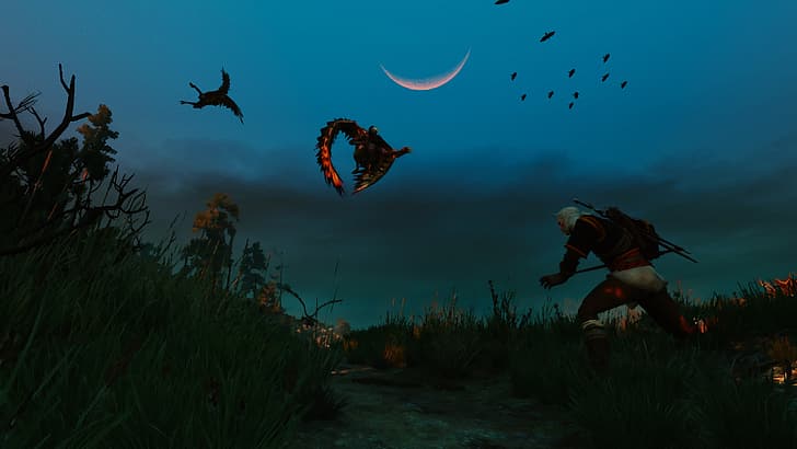 The Witcher 3: Wild Hunt, Geralt von Rivia, Harpyien, HD-Hintergrundbild