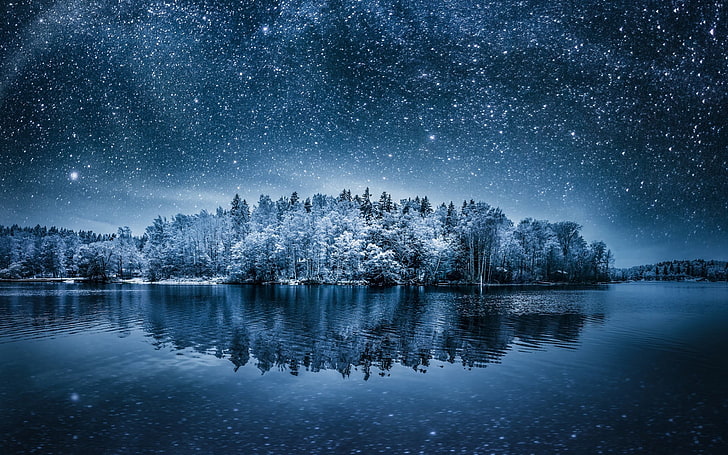 snowy trees, winter, water, sky, forest, HD wallpaper