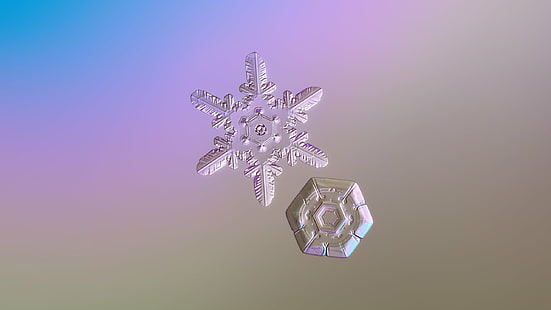 zwei schneeflocken, zwei herzen, valentinstag, schneeflocke, erkunden, schneeflocken, widescreen, ultra hd, 1080p, 720p, 4k, hochauflösend, auflösung, schneekristall, kristall symmetrie, draussen, winter, kalt, frost, natürlich, eis, makro, transparent, hexagon, vergrößert, closeup, details, form, weihnachtszeit, снежинка, fein, elegant, verziert, schönheit, schön, norden, dekor, isoliert, klar, einzigartig, gradienten, glatt, licht, beleuchtung, hell, struktur,DOF, Herz, Valentinsgrüße, Hintergründe, HD-Hintergrundbild HD wallpaper