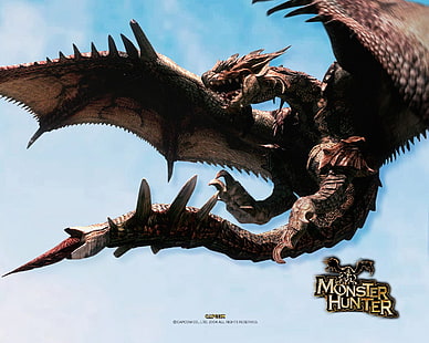 Monster Hunter тапет, видеоигра, Monster Hunter, Rathalos (Monster Hunter), HD тапет HD wallpaper