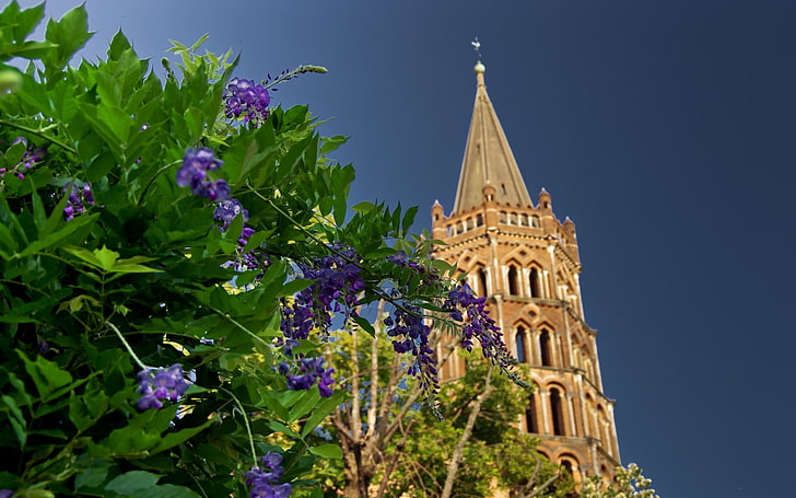Toulouse, Prancis, Basilique Saint-Sernin, gereja, monumen, Wallpaper HD