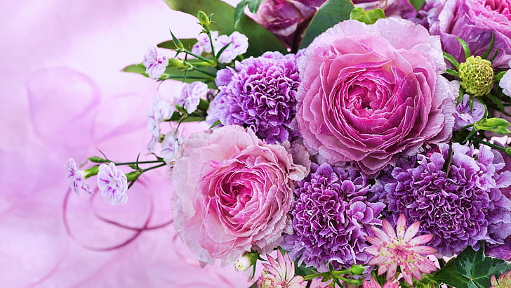 Bunga, Bunga, Anyelir, Bumi, Peony, Bunga Merah Muda, Bunga Ungu, Mawar, Wallpaper HD