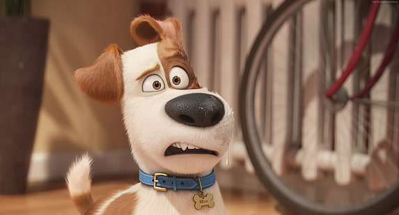 La vie secrète des animaux domestiques, chien, dessin animé, Meilleurs films d'animation de 2016, Fond d'écran HD HD wallpaper