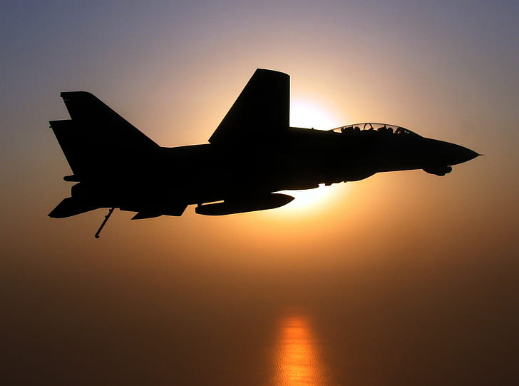 F-14 Tomcat, military aircraft, military, jet fighter, silhouette, HD wallpaper