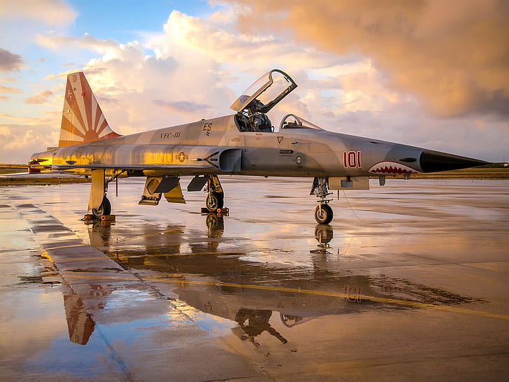 F-5NタイガーII戦闘機、F、5N、タイガー、戦闘機、航空機、 HDデスクトップの壁紙