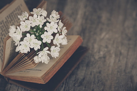  flowers, mood, book, Jasmine, HD wallpaper HD wallpaper