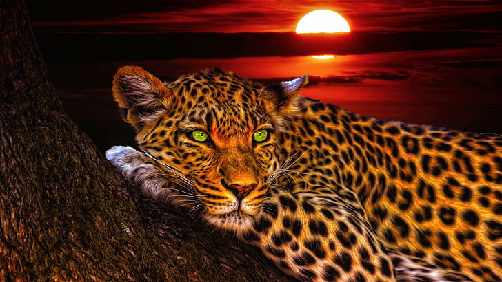 leopardo, pôr do sol, animais selvagens, mamífero, tronco, grandes felinos, animal terrestre, arte, bigodes, trabalho artístico, céu, HD papel de parede