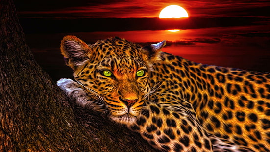 leopardo, puesta de sol, vida silvestre, mamífero, tronco, grandes felinos, fauna, animal terrestre, arte, bigotes, ilustración, cielo, Fondo de pantalla HD HD wallpaper