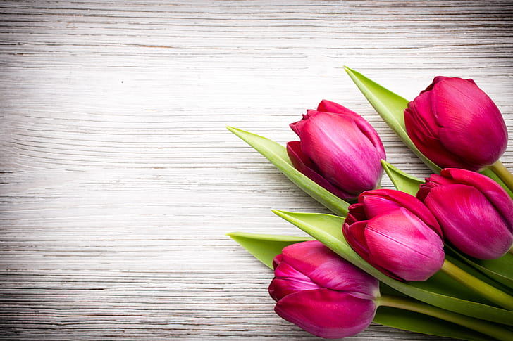 flowers, bouquet, fresh, wood, pink, beautiful, tulips, pink tulips, HD wallpaper