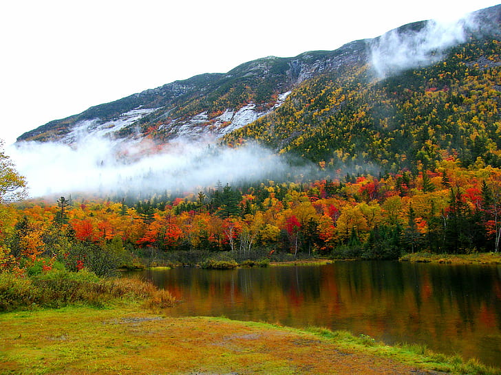 Река возле деревьев под холмом в дневное время, Раннее утро, Туман, река, холм, дневное время, осень, дерево, цвет, пейзаж, NH, туман, осень, природа, лес, лист, на открытом воздухе, желтый, пейзажи, сезон, красота ВПрирода, оранжевый цвет, лес, красный, гора, HD обои