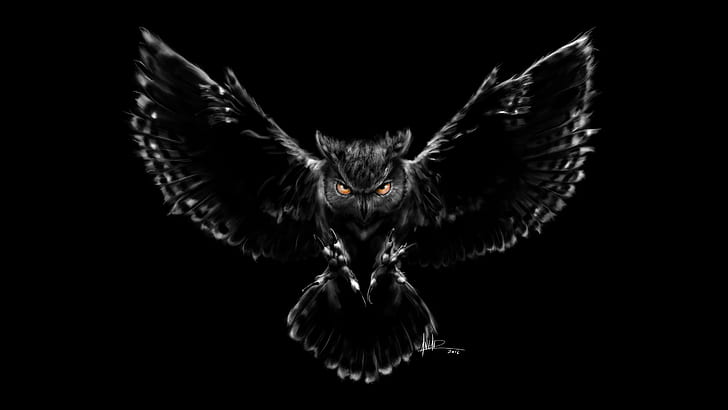 owl, bird, figure, wings, feathers, beak, art, claws, black background, HD wallpaper