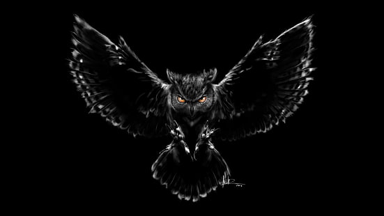  owl, bird, figure, wings, feathers, beak, art, claws, black background, HD wallpaper HD wallpaper