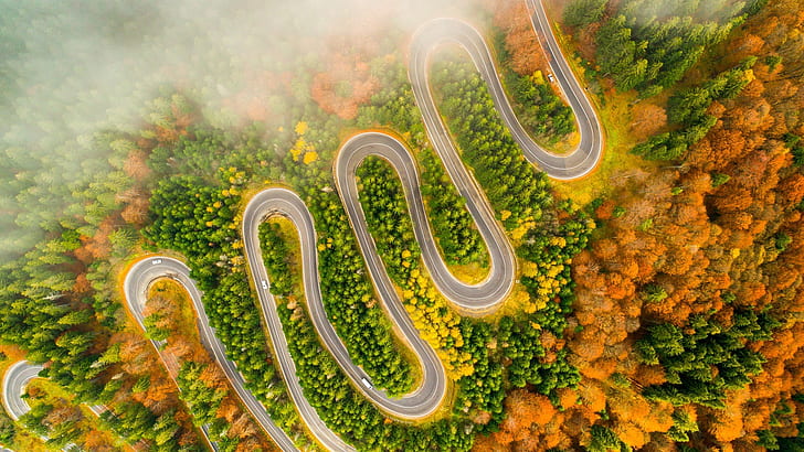 winding road, road, forest, autumn, winding, autumn forest, drone view, aerial view, photography, fog, foggy, HD wallpaper