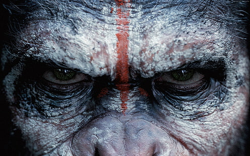 Guerra por el planeta de los simios, mono, 4k, Fondo de pantalla HD HD wallpaper