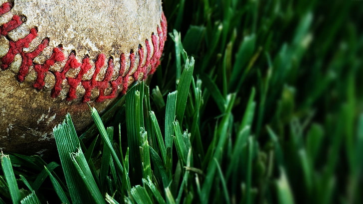 biała piłka baseballowa, makro, trawa, baseball, piłki, Tapety HD