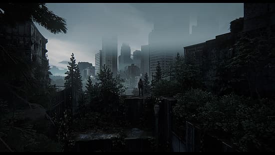 Der Letzte von uns 2, Naughty Dog, Sony, HD-Hintergrundbild HD wallpaper