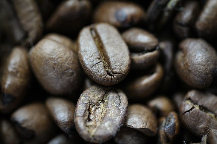 closeup photography of coffee beans, Daily, Nourishment, closeup photography, coffee beans, Daniel Zimmermann, Canon EOS 650D, Creative Commons, CC BY, art, travel, explore, Macro Photography, Makro, Essen, Food, prime lens, Canon EF, f2, Macro, USM, coffee  beans, Photography, bean, caffeine, brown, roasted, cafe, espresso, drink, coffee - Drink, close-up, backgrounds, black Color, coffee Crop, seed, scented, mocha, dark, coffee Bean, HD wallpaper