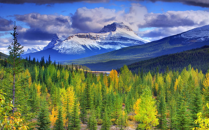 Banff National Park, Alberta, Canada, mountains, sky, forest, trees, Banff, National, Park, Alberta, Canada, Mountains, Sky, Forest, Trees, HD wallpaper