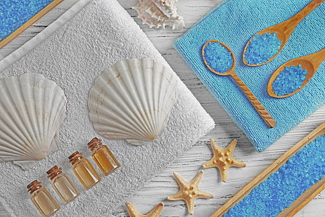 relax, shell, Spa, still life, salt, seashells, wellness, HD wallpaper HD wallpaper