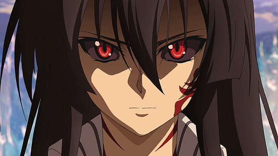 Anime, Akame ga Kill!, HD-Hintergrundbild HD wallpaper