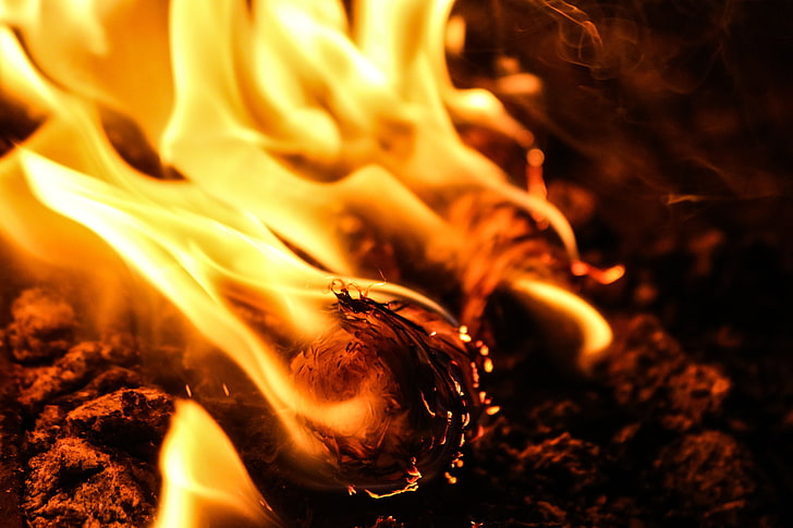 주황색 불, 불, 모닥불, 재, 재, 연기, HD 배경 화면