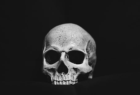 ossos, crânio, monocromático, HD papel de parede HD wallpaper