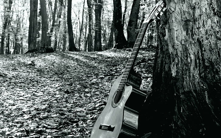 alam, 2880x1800, gitar, 4K, In, the, Forest, Wallpaper HD