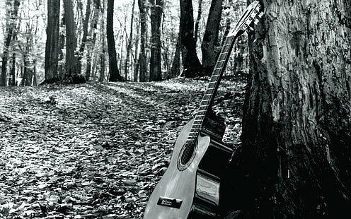 Natur, 2880x1800, Gitarre, 4K, In, der, Wald, HD-Hintergrundbild HD wallpaper