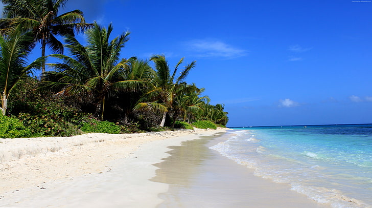 Flamenco Beach, palms, Travellers Choice Awards 2016, Best beaches of 2016, Culebra, Puerto Rico, HD wallpaper