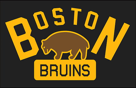 Hokej, Boston Bruins, Tapety HD HD wallpaper