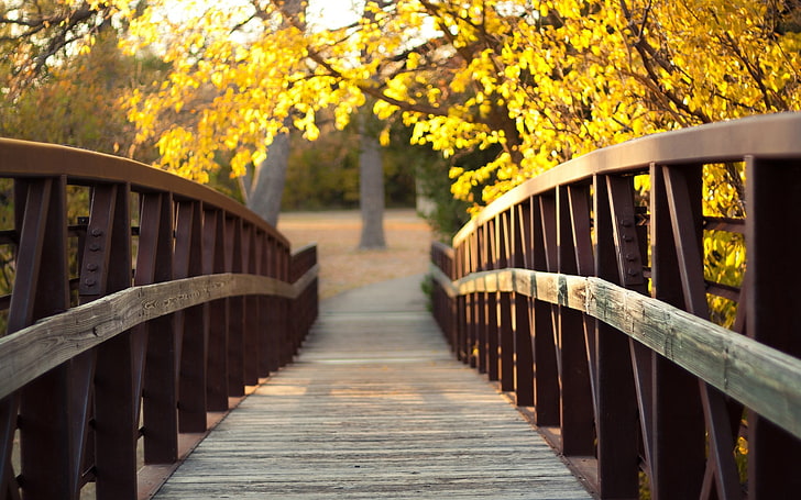 brown wooden bridge, bridge, wood, trees, leaves, river, HD wallpaper