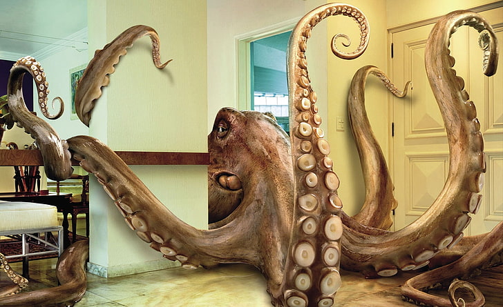 Нахлуване на октопод, илюстрация от кафяв кракен в стаята, забавен, октопод, нашествие на октопод, HD тапет